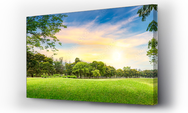 natura, Panorama, park