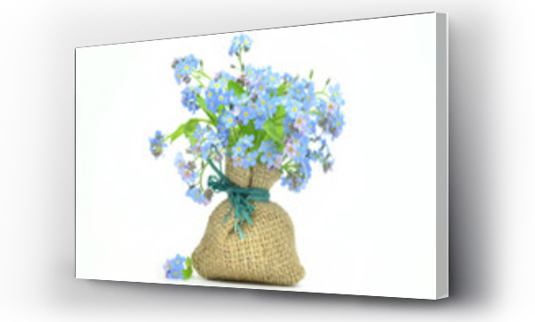Wizualizacja Obrazu : #64284230 kwiaty niezapominajki