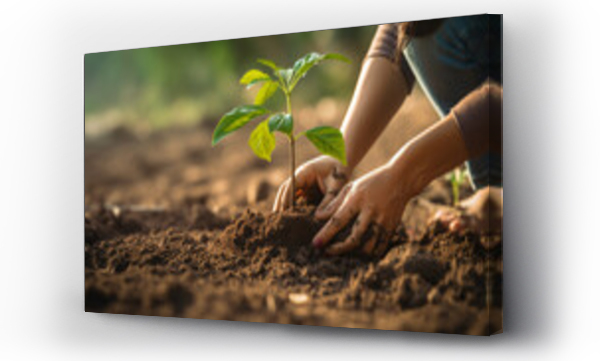 Wizualizacja Obrazu : #642915817 Womans hands scooping soil to plant trees, environmental conservation concept Protect and preserve resources plant trees to reduce global warming use renewable energy conservation of natural forests
