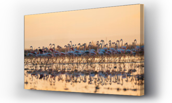 Wizualizacja Obrazu : #646107514 flamingos at sunset in the lake
