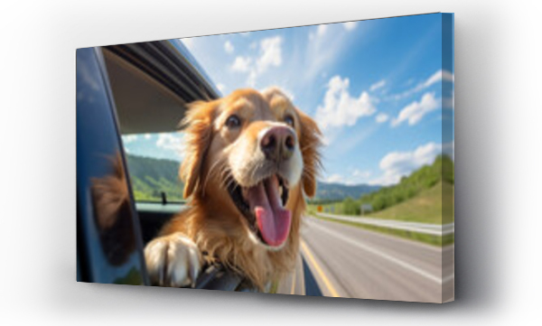 Wizualizacja Obrazu : #646234811 A dog peeks out from the window of a moving car with a happy expression on its face. Blue sky and clouds background. Holidays and vacation travel concept.