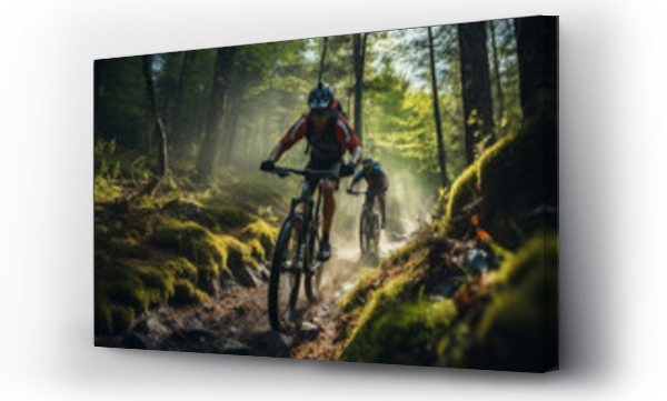 Goral, kolarz, motocykl