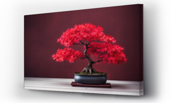 Wizualizacja Obrazu : #646335649 japanese red bonsai tree