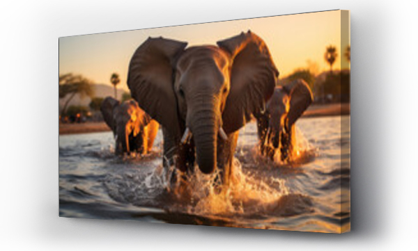 Wizualizacja Obrazu : #646766620 a family of elephants playing in a river