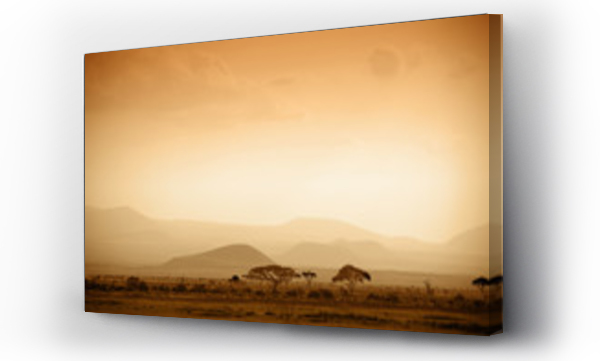 afrykańska sawanna o wschodzie słońca