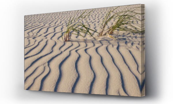 Wizualizacja Obrazu : #649737357 Pofalowany piasek na Ba?tyckiej pla?y, wavy sand on the beach