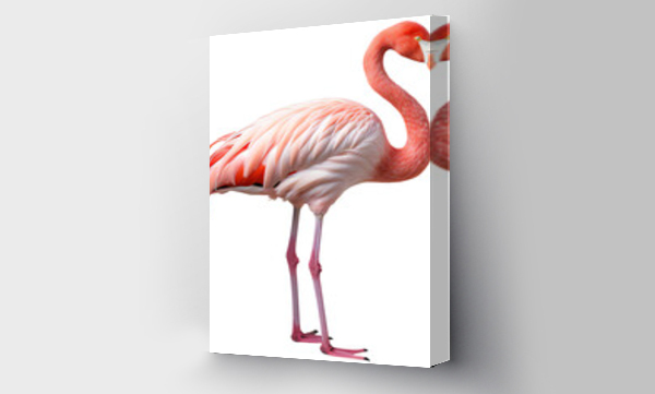 Wizualizacja Obrazu : #650234895 Pink Flamingo stands on transparent