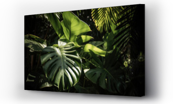 Wizualizacja Obrazu : #650620644 Green background of tropical leaves and nature concept, tropical leaf