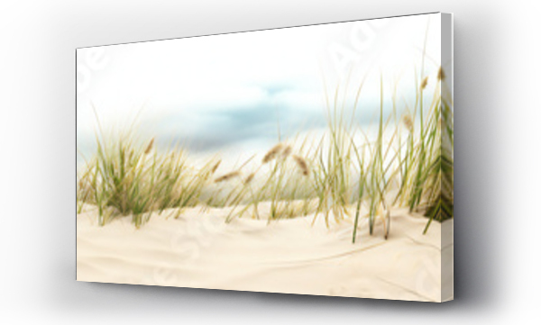 Wizualizacja Obrazu : #651103385 Grass on the beach