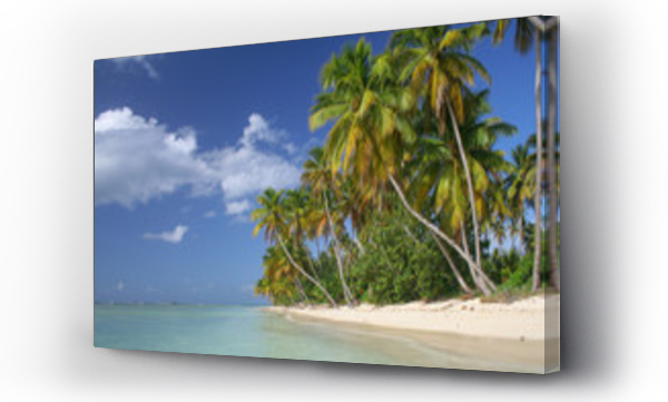 Wizualizacja Obrazu : #65204181 Karaibska plaża