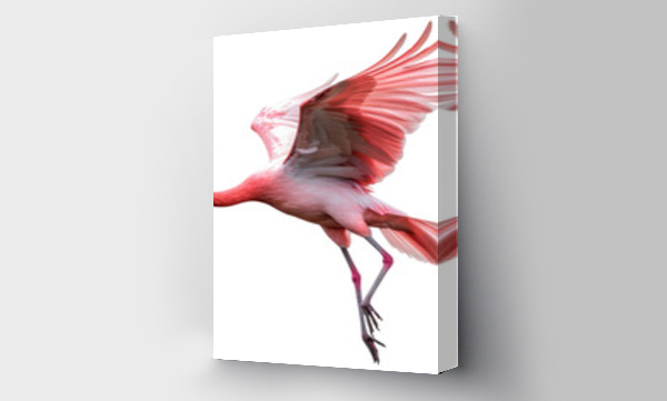 Wizualizacja Obrazu : #653410016 Flying pink flamingo bird isolated on a white background as transparent PNG
