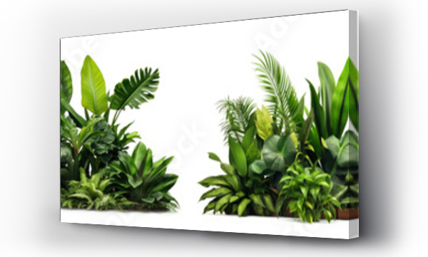 Wizualizacja Obrazu : #653873843 Collection of green leaves of tropical plants bush (Monstera, palm, rubber plant, pine, birds nest fern). PNG, cutout, or clipping path.