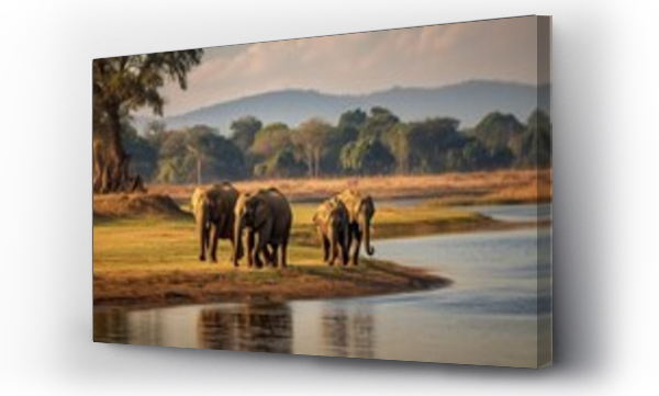 Wizualizacja Obrazu : #654862568 Elephants by Kabini river India
