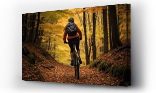 Wizualizacja Obrazu : #655088885 Woman riding a mountain bike rides a bicycle in a mountain forest with colorful leaves.