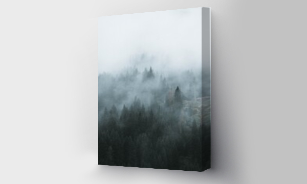 Wizualizacja Obrazu : #655790456 fog in the forest
