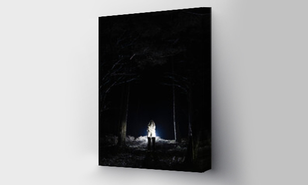 Wizualizacja Obrazu : #656334414 Spooky female ghost standing amidst trees in forest at night