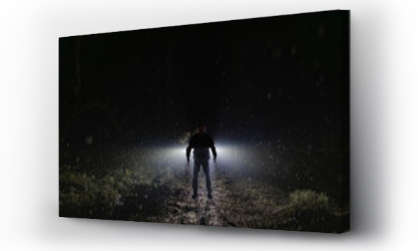 Wizualizacja Obrazu : #656334626 Silhouette demon standing in forest at night during rainy season