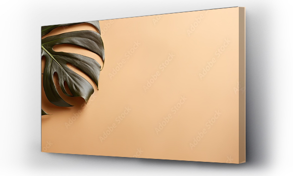 Wizualizacja Obrazu : #657414772 Top view of a dry monstera leaf on a isolated pastel background Copy space