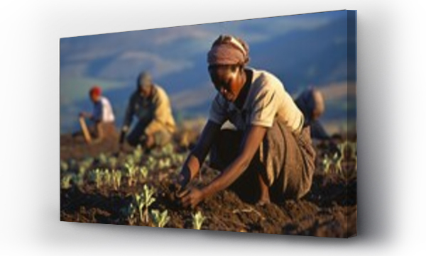 Wizualizacja Obrazu : #658790199 african field workers