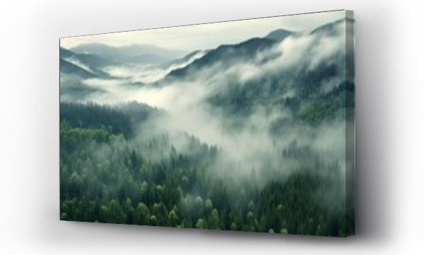 Wizualizacja Obrazu : #658942400 Aerial view of a misty forest on a foggy day.