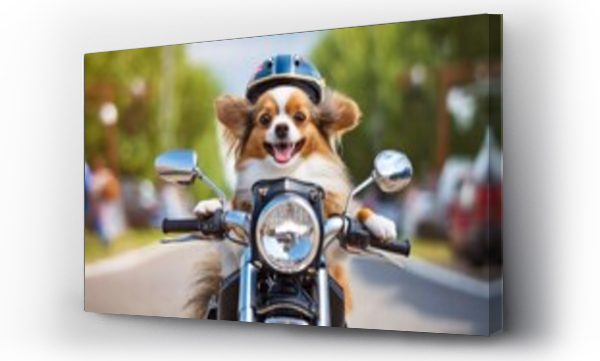 Wizualizacja Obrazu : #660451378 smile dog riding a bike