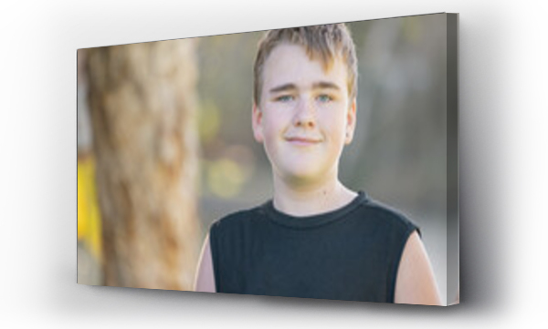 Wizualizacja Obrazu : #660495103 Portrait of pre-teen boy with wry smile in nature