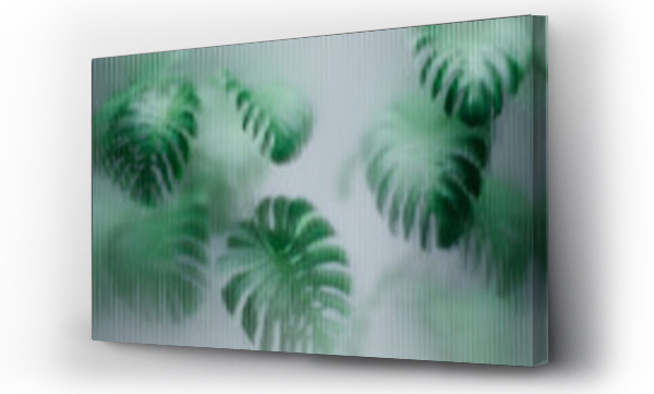 Wizualizacja Obrazu : #660592861 Tropical monstera plant behind reeded glass panel. Abstract botanical background with green foliage. Greenhouse architecture interior design. Asian indoor garden with palm tree wallpaper.
