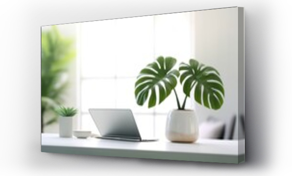 Wizualizacja Obrazu : #660879488 monstera plant in pot on wooden table with laptop and white background