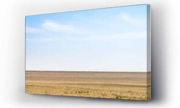 Wizualizacja Obrazu : #661786794 Minimalistic landscape of the Kazakh steppe in Mangistau in May, steppe of the Ustyurt plateau