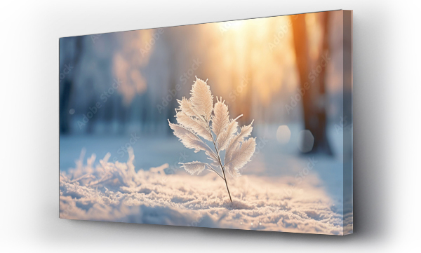 Wizualizacja Obrazu : #662785635 Winter season outdoors landscape, frozen plants in nature on the ground covered with ice and snow, under the morning sun - Seasonal background for Christmas wishes and greeting card
