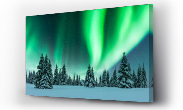 Wizualizacja Obrazu : #663469353 Aurora borealis. Northern lights in winter forest. Sky with polar lights and stars. Night winter landscape with aurora and pine tree forest. Travel concept