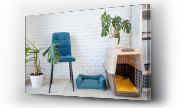 Wizualizacja Obrazu : #663715652 interior of light living room with monstera plants and cozy pet bed