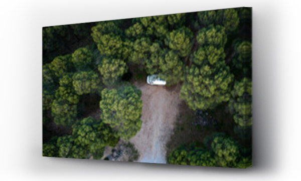 Wizualizacja Obrazu : #663778027 Drone view of green trees forest road and parked camper van