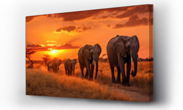 Wizualizacja Obrazu : #666188741 Herd of elephants in the savanna at sunset