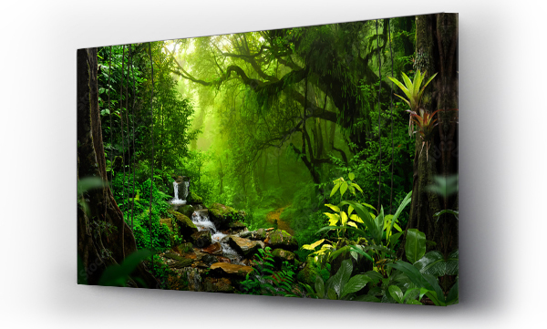 Wizualizacja Obrazu : #666215828 Tropical rain forest with river
