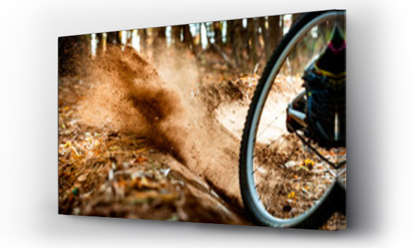 Wizualizacja Obrazu : #666636135 The rear tire of a mountain bike kicks up dirt along a trail in the woods