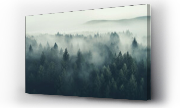 Wizualizacja Obrazu : #667686840 Aerial view of a foggy forest