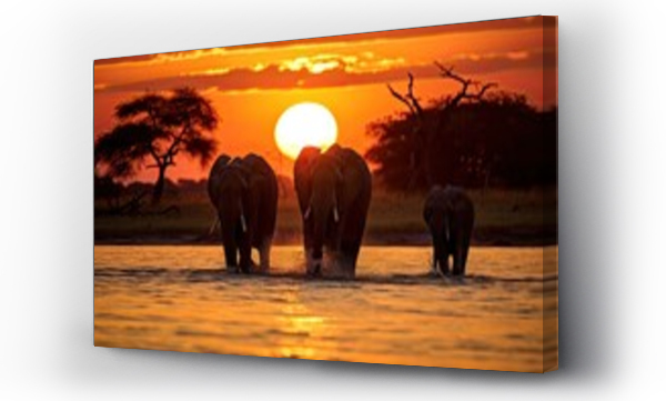 Wizualizacja Obrazu : #669089004 Elephants in Chobe National Park, Botswana, Africa, Silhouette of elephants at sunset in Chobe National Park, Botswana, Africa, AI Generated
