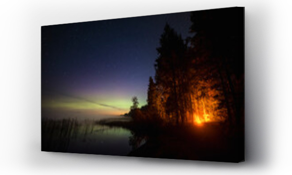 Wizualizacja Obrazu : #669098115 Campfire in the forest at night