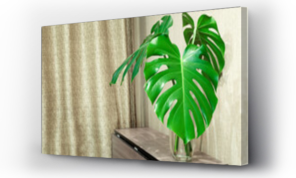 Wizualizacja Obrazu : #671170681 Monstera leaves in glass vase on wooden cupboard. Home interior with monstera leaves.