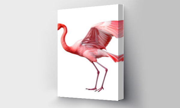 Wizualizacja Obrazu : #671451508 flamingo face shot, isolated on transparent background cutout