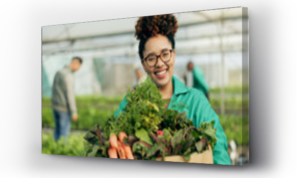 Wizualizacja Obrazu : #671498540 Farmer, woman and vegetables basket in greenhouse, agriculture and sustainability with farming portrait. Young african worker with groceries box, green product harvest and gardening for healthy food