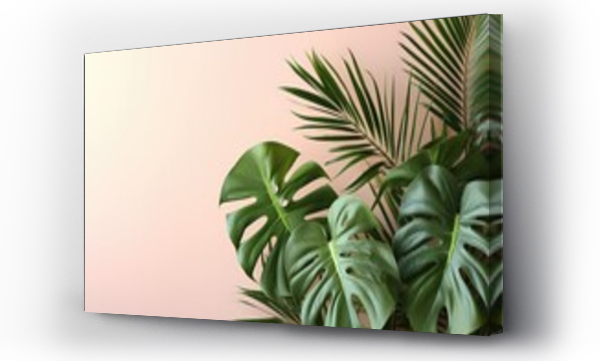 Wizualizacja Obrazu : #671570883 monstera plants isolated pastel background