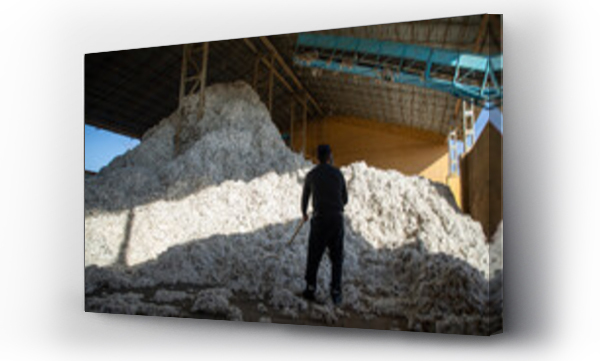 Wizualizacja Obrazu : #672145186 hard-working man in a cotton industry