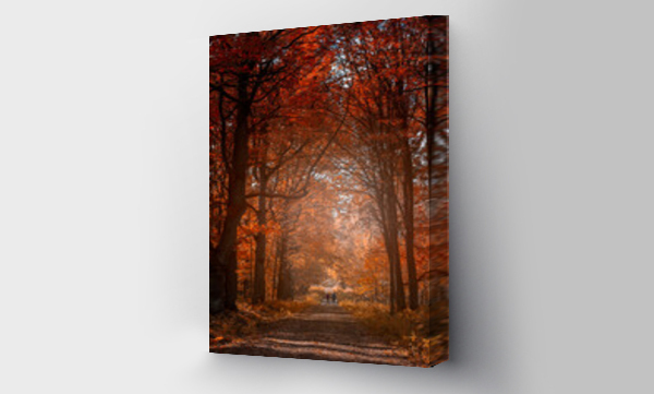 Wizualizacja Obrazu : #673345385 Jesienny pejza?. Kolorowe jesienne li?cie na drzewach