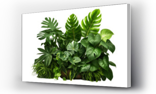 Wizualizacja Obrazu : #673709634 Beautiful green leaves of tropical plants isolated on white background.generative ai
