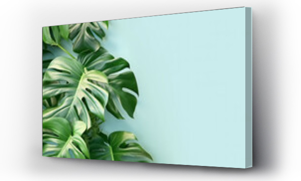 Wizualizacja Obrazu : #673771358 Creative arrangement of tropical monstera leaves against blue abstract wall background