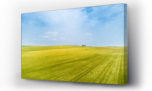 Wizualizacja Obrazu : #674465684 Aerial view of green grassland and wheat field, Mefalsim, Israel.