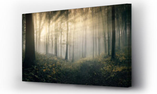 Wizualizacja Obrazu : #674601876 sun rays in fantasy forest landscape