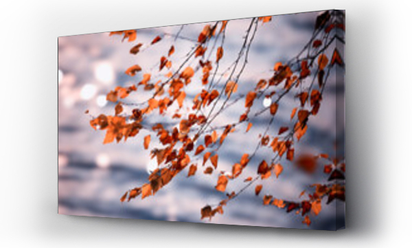 Wizualizacja Obrazu : #676951521 Krajobraz jesienny, staw i jesienne li?cie